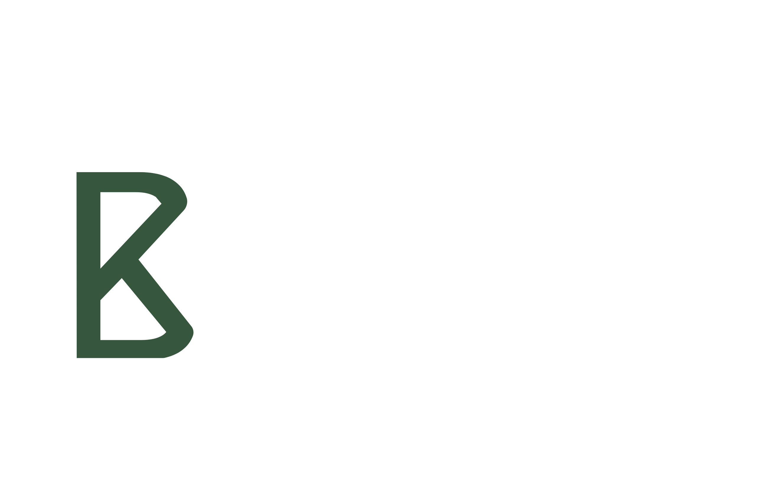 STATNAIA CORSETS – BonnieKate Boutique